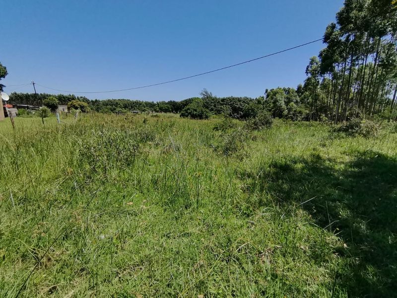 0 Bed Vacant Land in Mzingazi for Sale - Photo 2