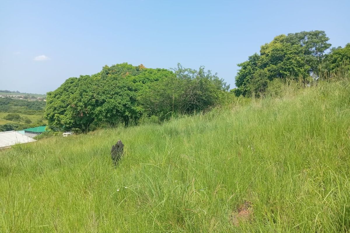 0 Bed Vacant Land in Ongoye, Empangeni Rural for Sale - Photo 2