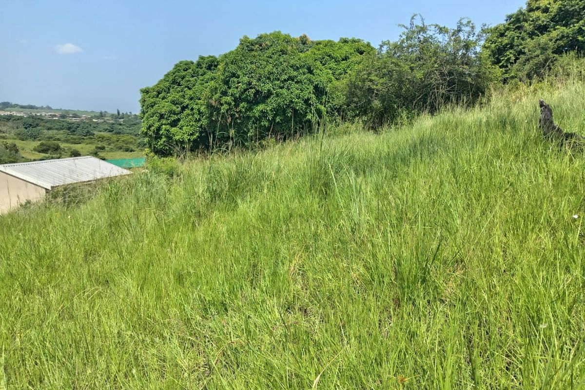 0 Bed Vacant Land in Ongoye, Empangeni Rural for Sale - Photo 3