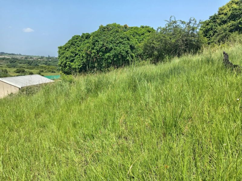 0 Bed Vacant Land in Ongoye, Empangeni Rural for Sale - Photo 3