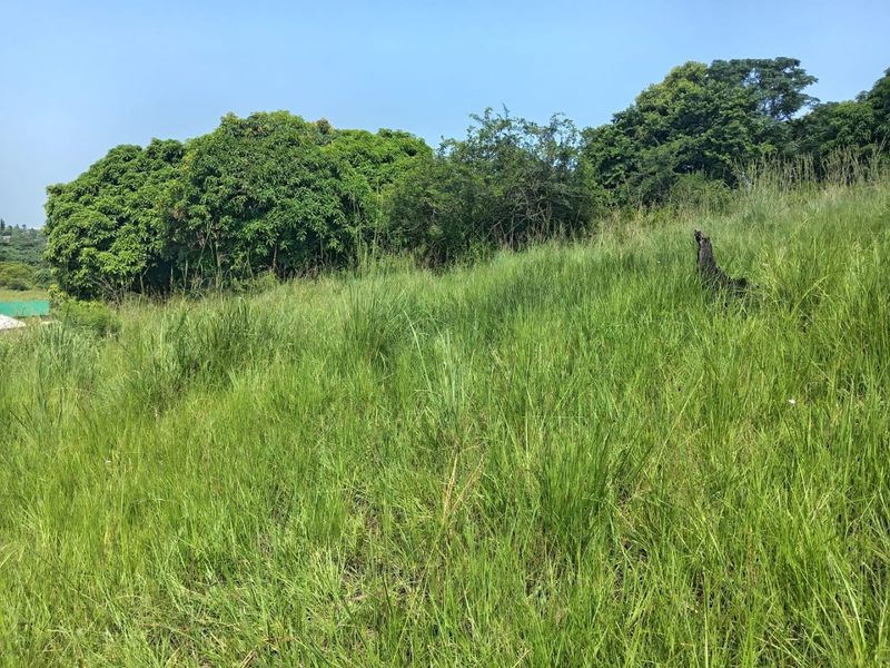 0 Bed Vacant Land in Ongoye, Empangeni Rural for Sale - Photo 8