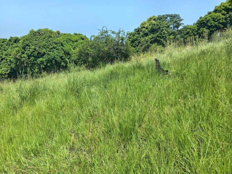 0 Bed Vacant Land in Ongoye, Empangeni Rural for Sale - Photo 7