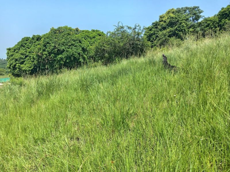 0 Bed Vacant Land in Ongoye, Empangeni Rural for Sale - Photo 6