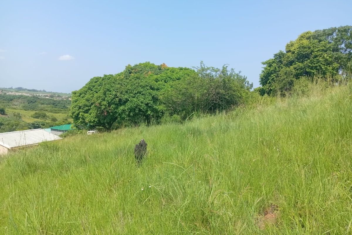 0 Bed Vacant Land in Ongoye, Empangeni Rural for Sale - Photo 5