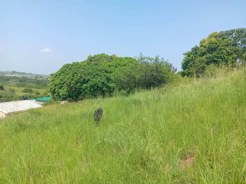 0 Bed Vacant Land in Ongoye, Empangeni Rural for Sale - Photo 5