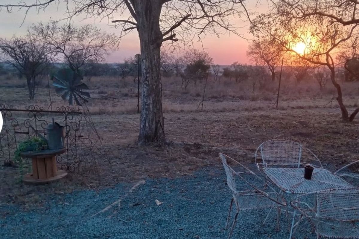 Own your Piece of bushveld Heaven in Big 5 Dinokeng game reserve 124ha with campsites - Photo 5