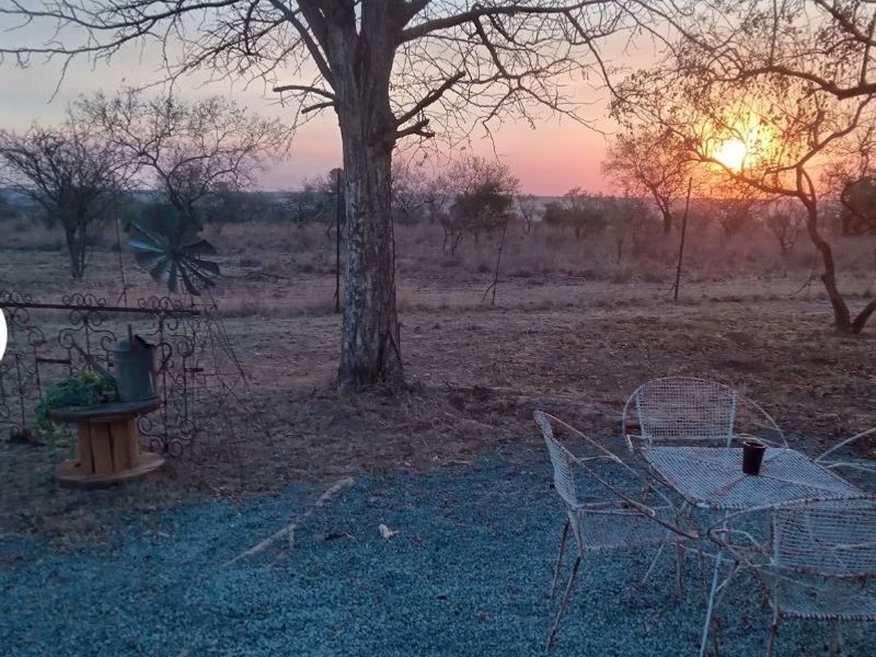 Own your Piece of bushveld Heaven in Big 5 Dinokeng game reserve 124ha with campsites - Photo 5