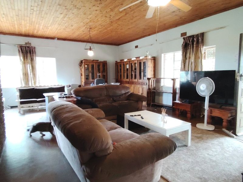 Income-Generating Smallholding with Workshop. - Photo 4