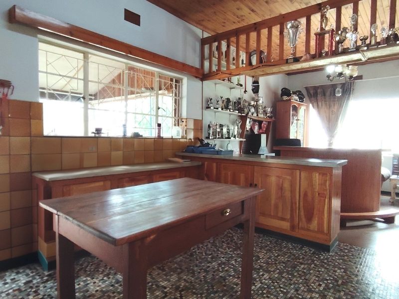 Income-Generating Smallholding with Workshop. - Photo 10