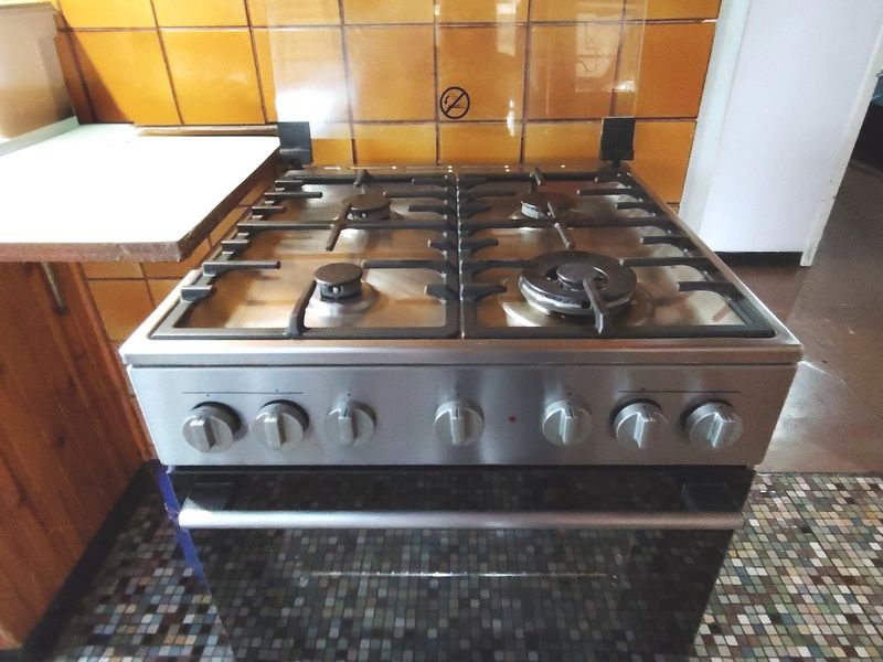 Income-Generating Smallholding with Workshop. - Photo 9