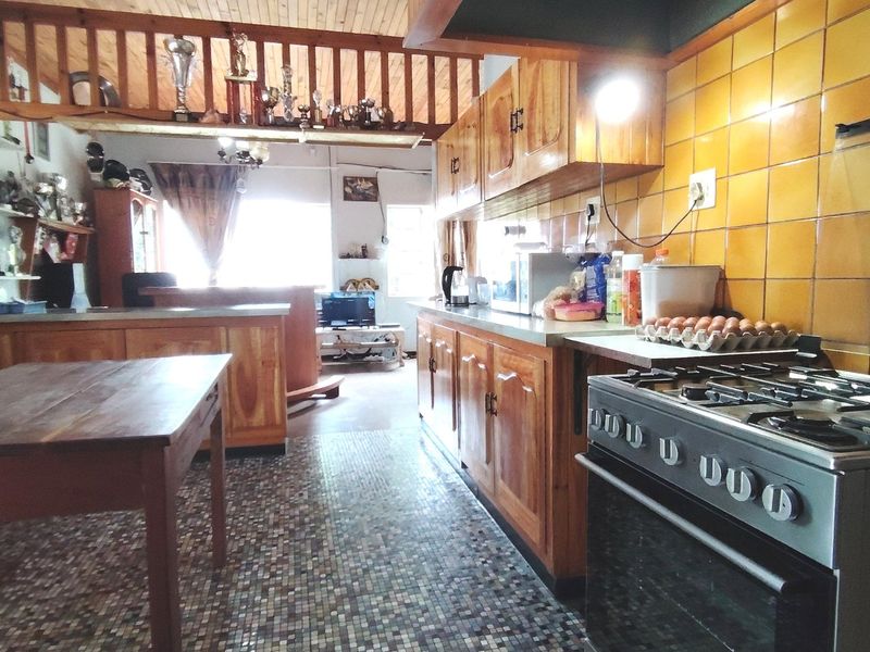 Income-Generating Smallholding with Workshop. - Photo 8