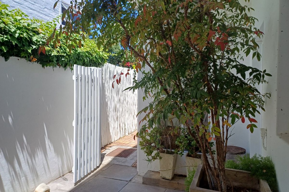 A private rear courtyard area featuring paved flooring, a white timber gate, and established garden greenery against a boundary wall.