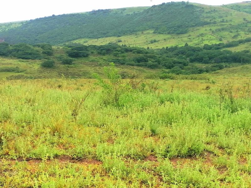 0 Bed Farm in Stanger Central for Sale - Photo 3