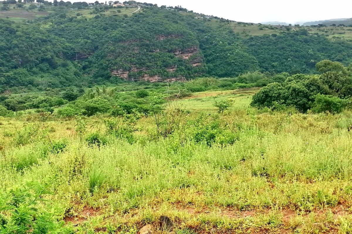 0 Bed Farm in Stanger Central for Sale - Photo 2