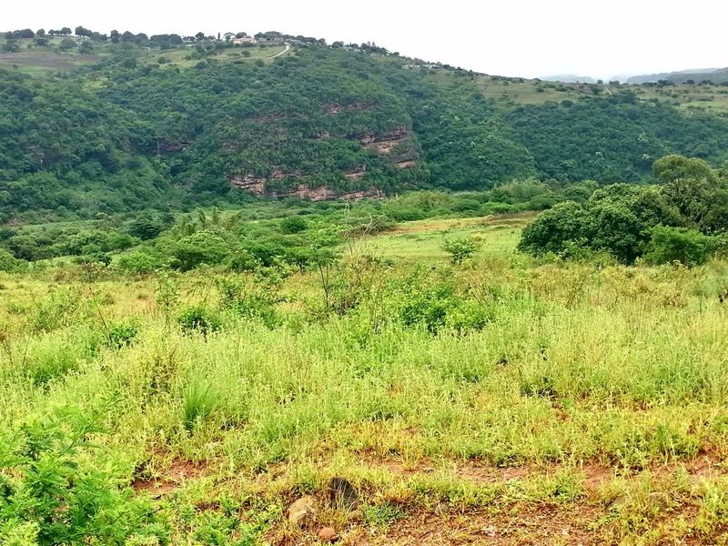 0 Bed Farm in Stanger Central for Sale - Photo 2