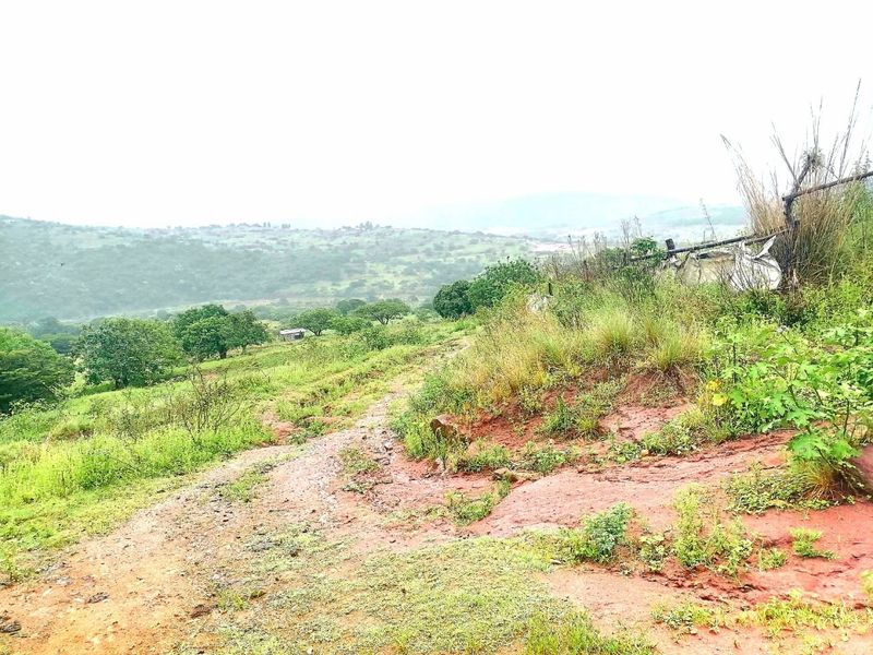 0 Bed Farm in Stanger Central for Sale - Photo 10