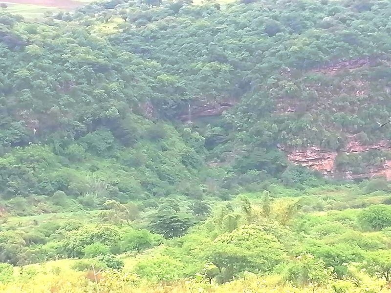 0 Bed Farm in Stanger Central for Sale - Photo 9