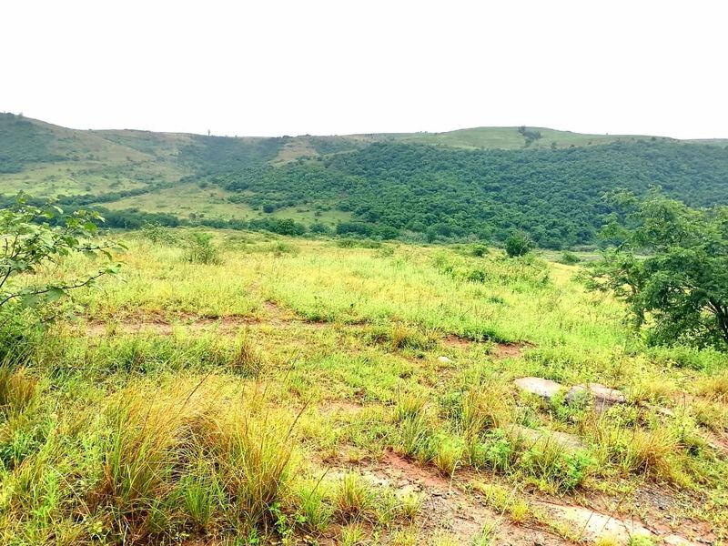 0 Bed Farm in Stanger Central for Sale - Photo 8