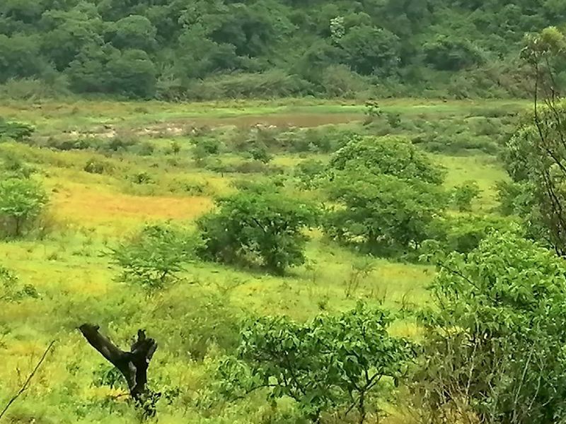 0 Bed Farm in Stanger Central for Sale - Photo 7