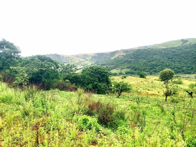 0 Bed Farm in Stanger Central for Sale - Photo 6