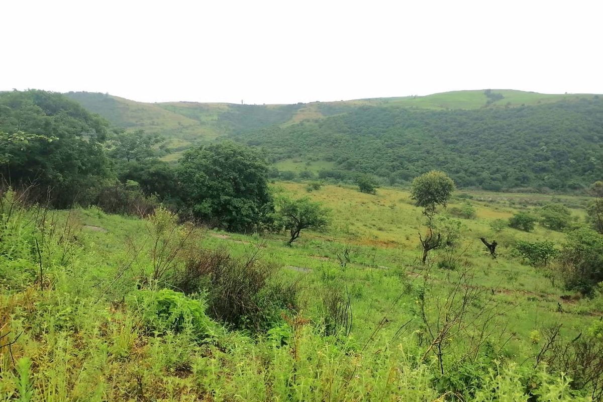 0 Bed Farm in Stanger Central for Sale - Photo 5