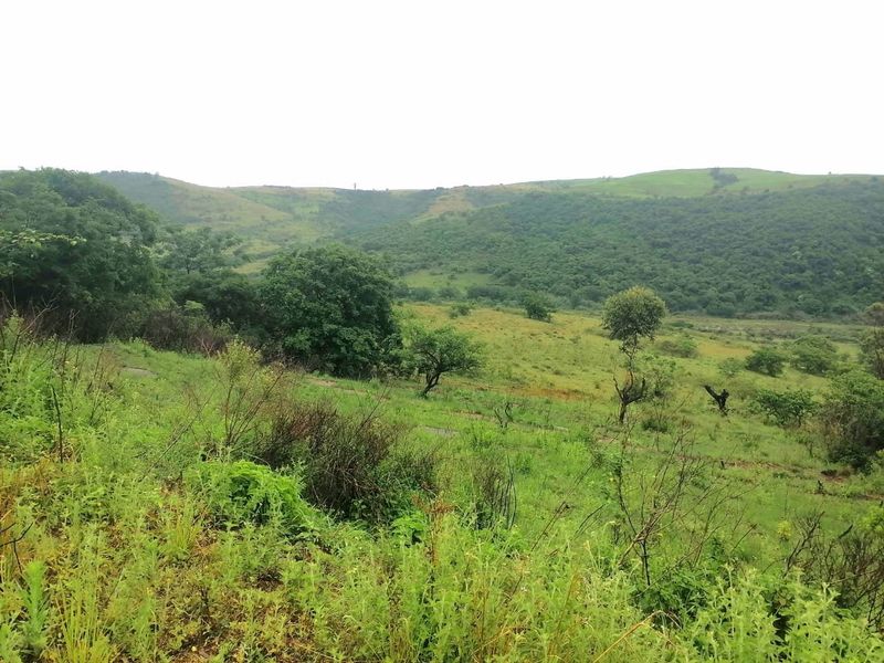 0 Bed Farm in Stanger Central for Sale - Photo 5