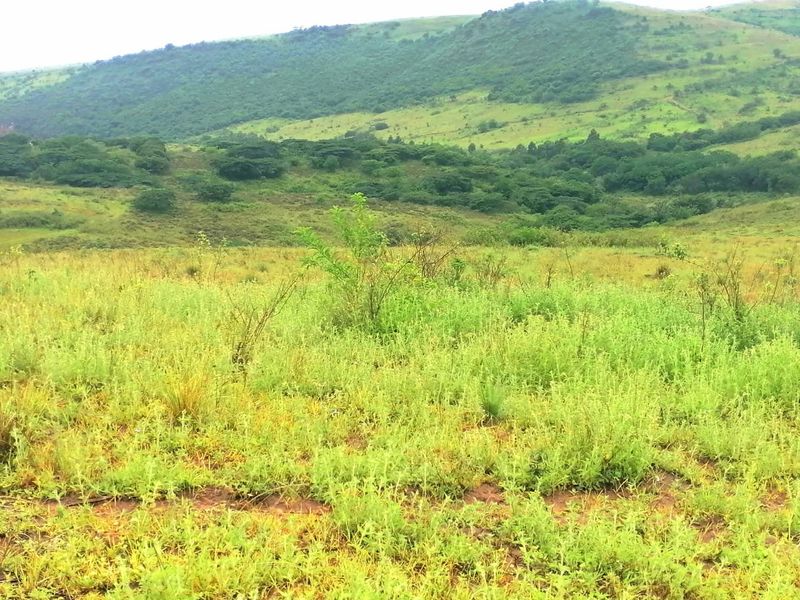 0 Bed Farm in Stanger Central for Sale - Photo 4