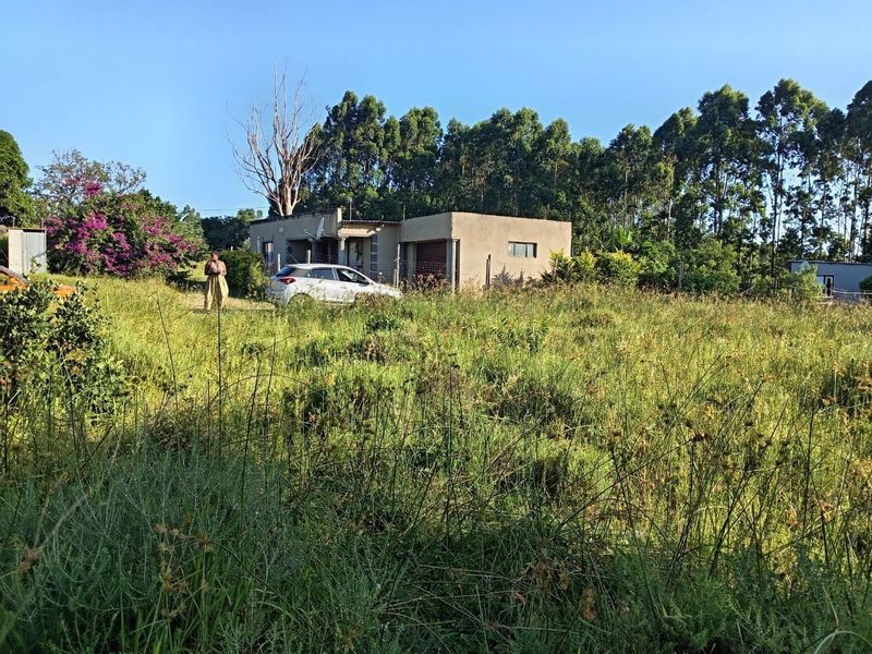 A view of a residential property featuring a single-story structure set within a large, overgrown plot of land.