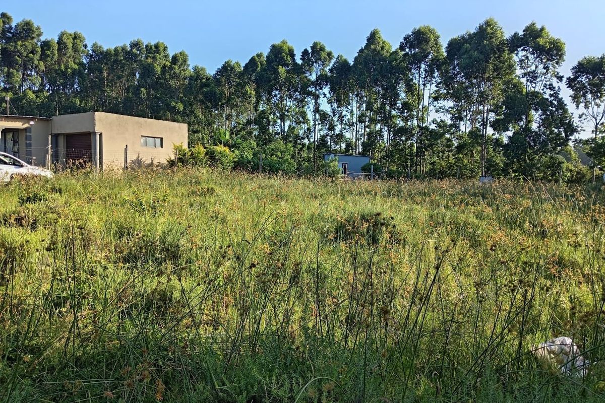 A view of a vacant residential plot featuring overgrown grass, perimeter fencing, and mature trees in the background.