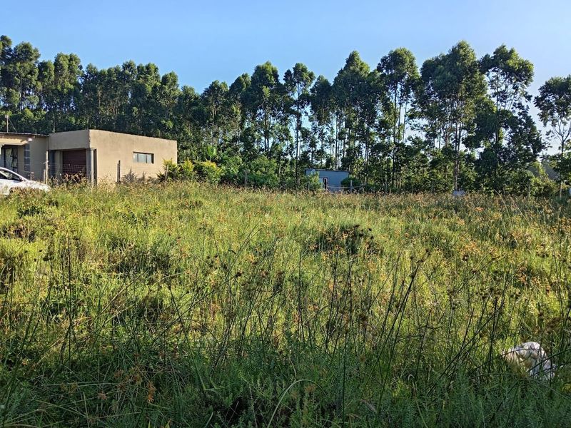 A view of a vacant residential plot featuring overgrown grass, perimeter fencing, and mature trees in the background.