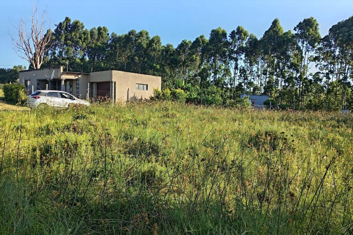 A view of a residential property featuring a structure with a garage, set on a large plot of land with overgrown grass.