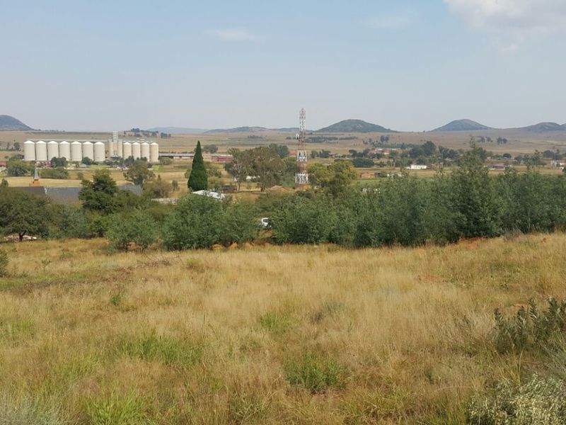 Deceased Estate – Large 2 142m2 Vacant Stand for Sale in Willemsdal, Greylingstad, Mpumalanga - Photo 3