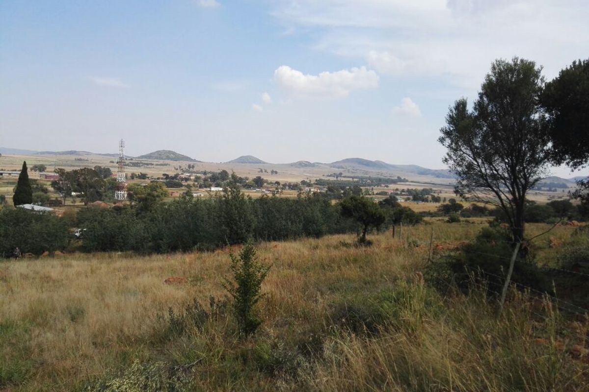 Deceased Estate – Large 2 142m2 Vacant Stand for Sale in Willemsdal, Greylingstad, Mpumalanga - Photo 4