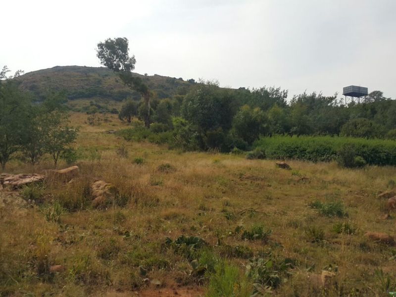 Deceased Estate – Large 2 142m2 Vacant Stand for Sale in Willemsdal, Greylingstad, Mpumalanga - Photo 2