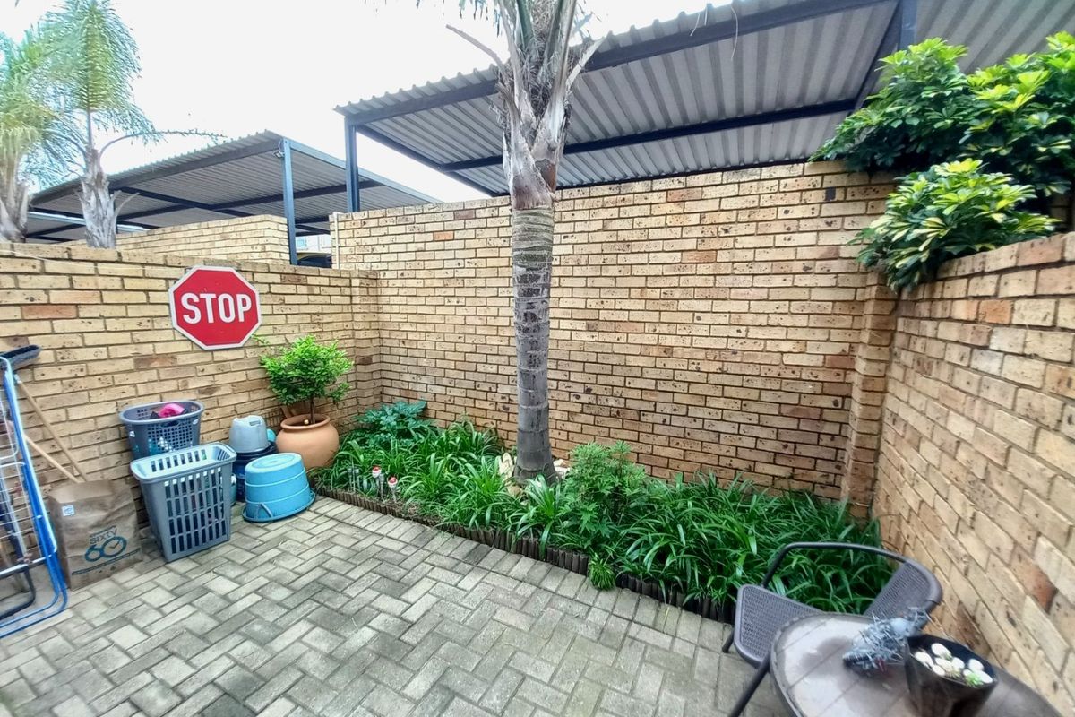 A private outdoor courtyard featuring paved flooring, a brick boundary wall, and a small garden bed with a palm tree.