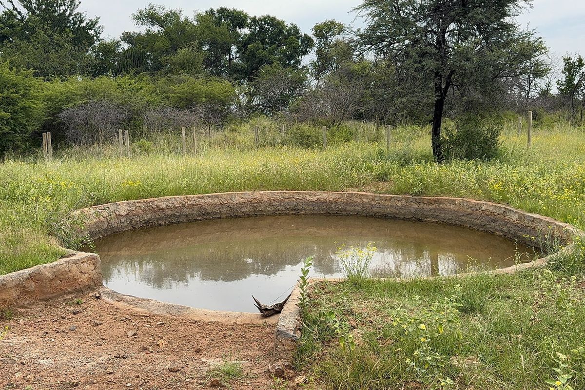 728 Hectares inner game farm Northam-Thabazimbi  - Photo 2