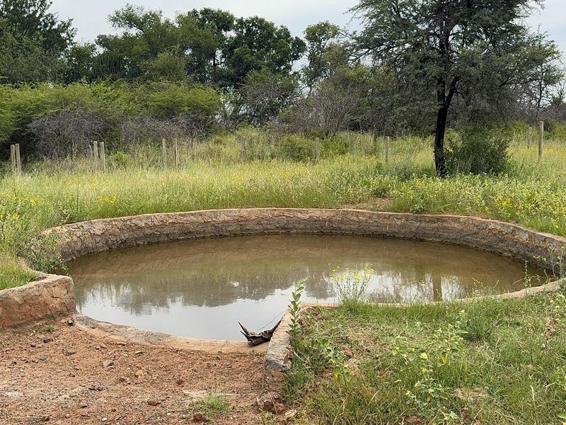 728 Hectares inner game farm Northam-Thabazimbi  - Photo 2