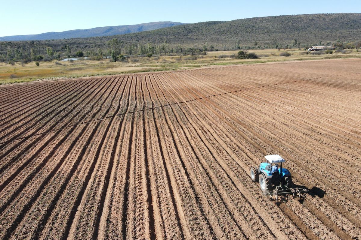 Irrigation farm with 2x 40 Hectares Pivots - Photo 2