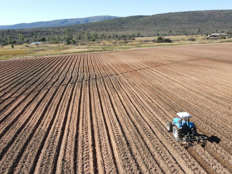 Irrigation farm with 2x 40 Hectares Pivots - Photo 2