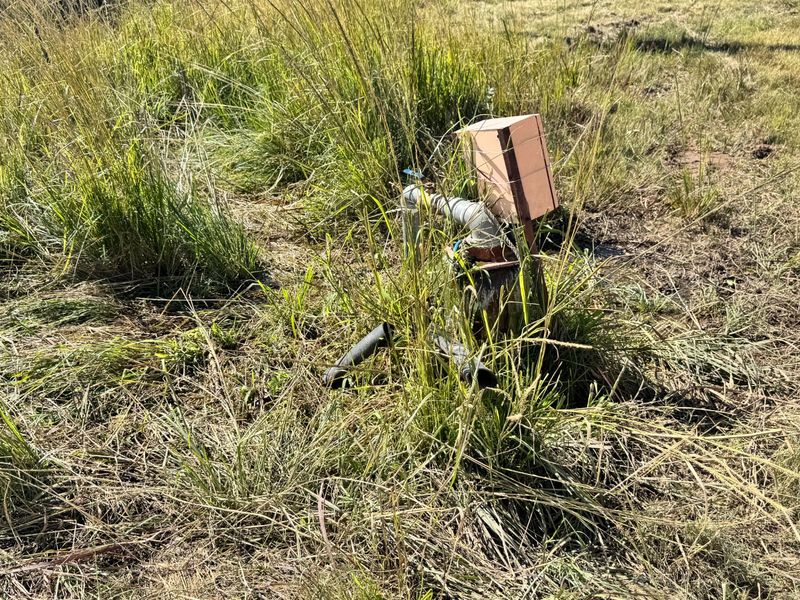 Irrigation farm with 2x 40 Hectares Pivots - Photo 4