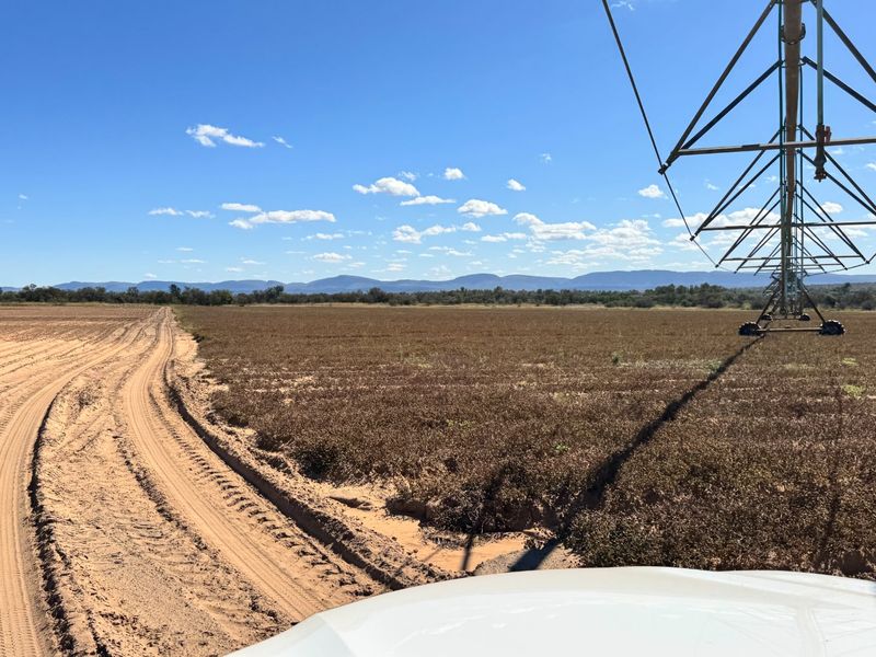 Irrigation farm with 2x 40 Hectares Pivots - Photo 3