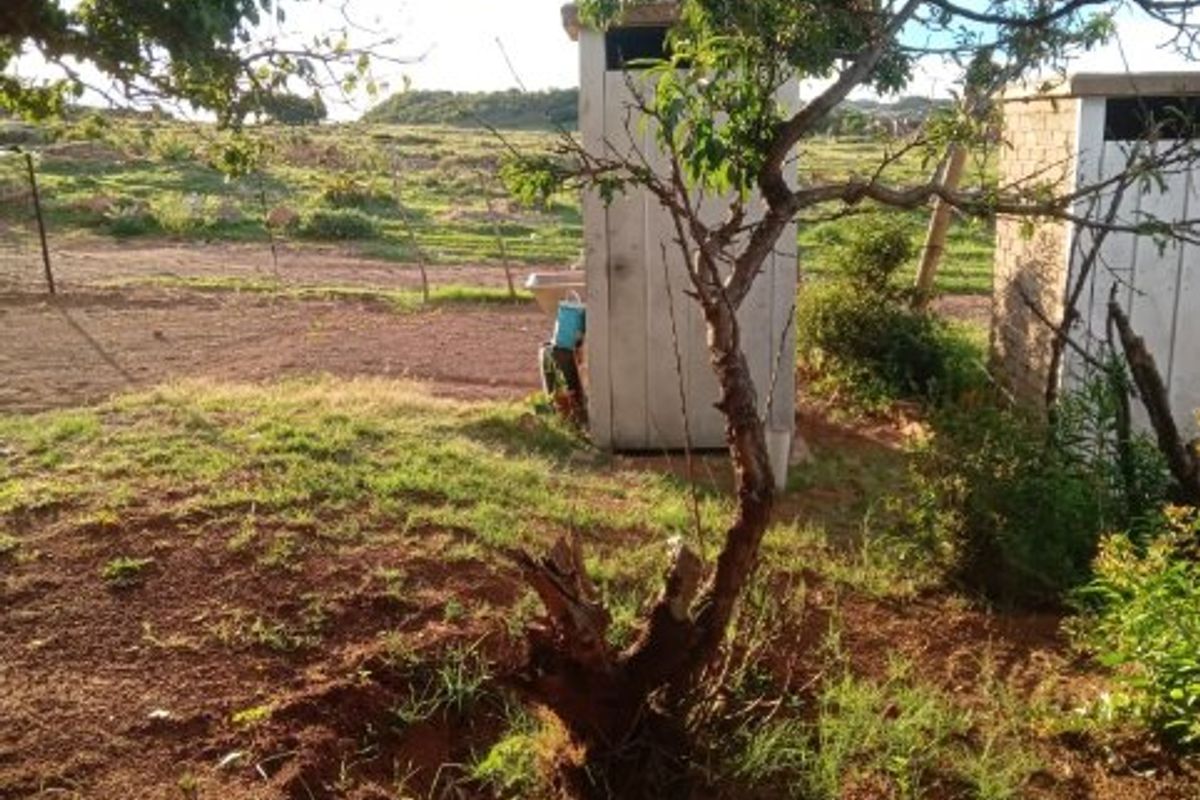 RDP HOUSE FOR SALE - Photo 3