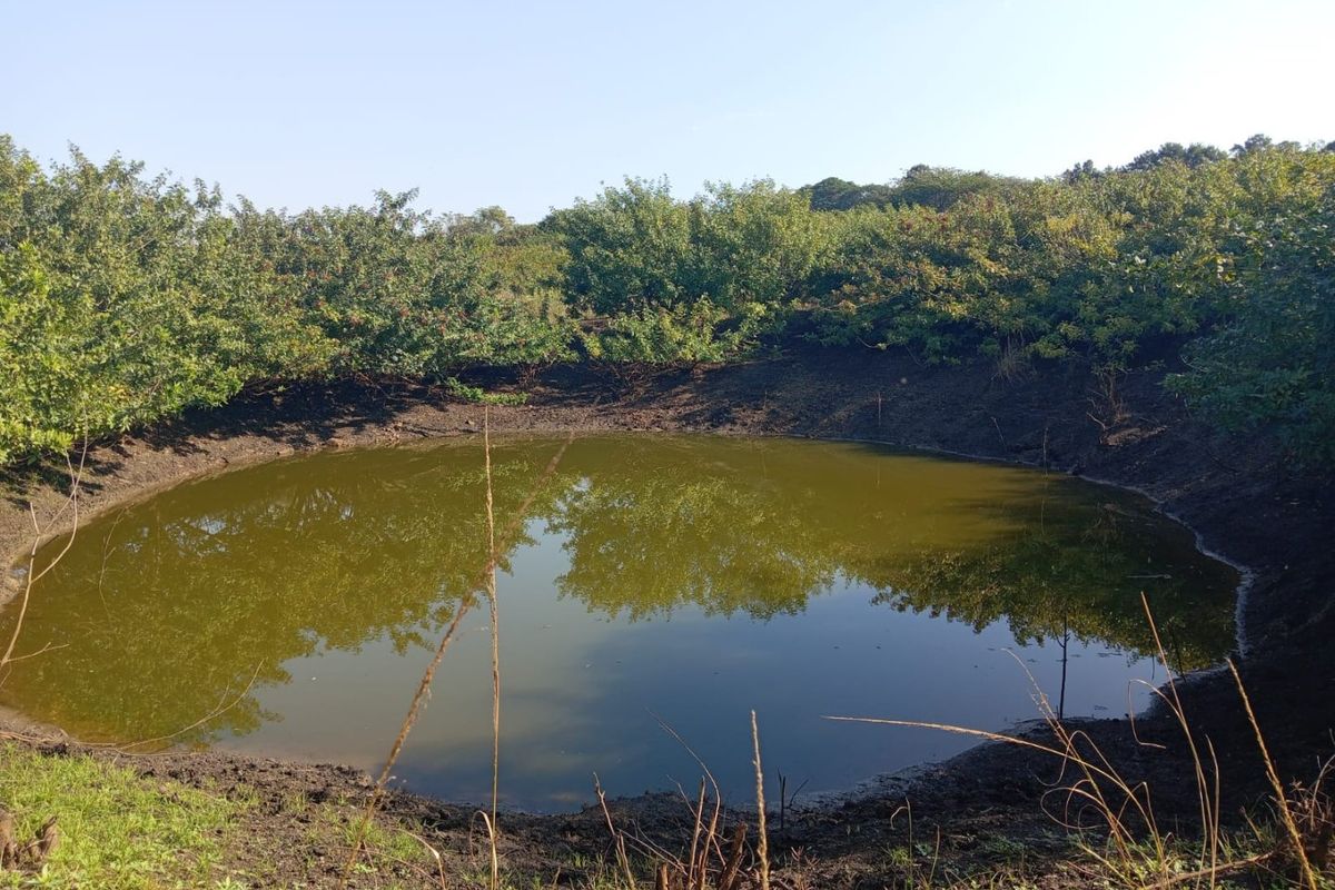 0 Bed Farm in Empangeni Central for Sale - Photo 5