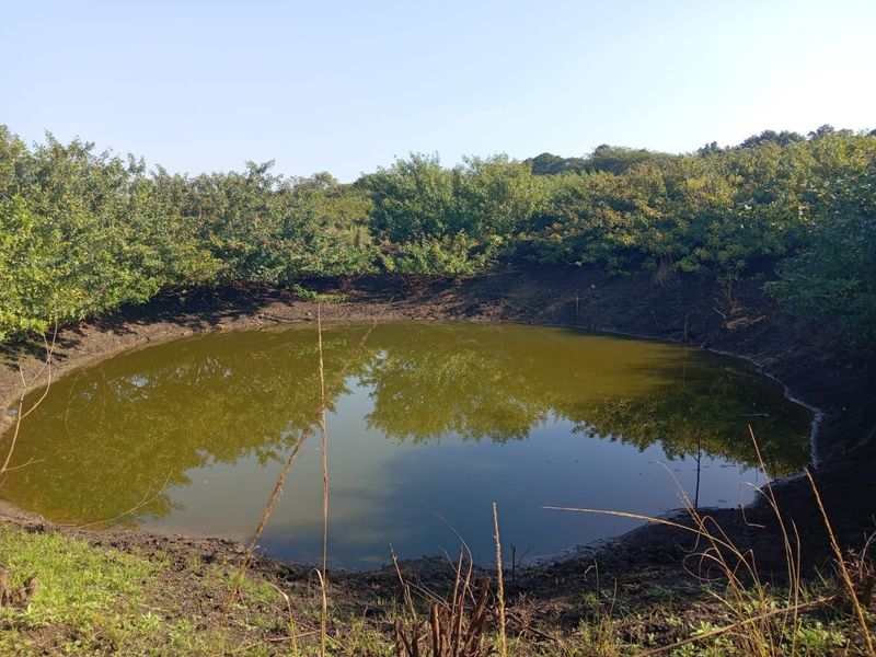 0 Bed Farm in Empangeni Central for Sale - Photo 5