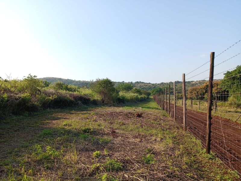 0 Bed Farm in Empangeni Central for Sale - Photo 9