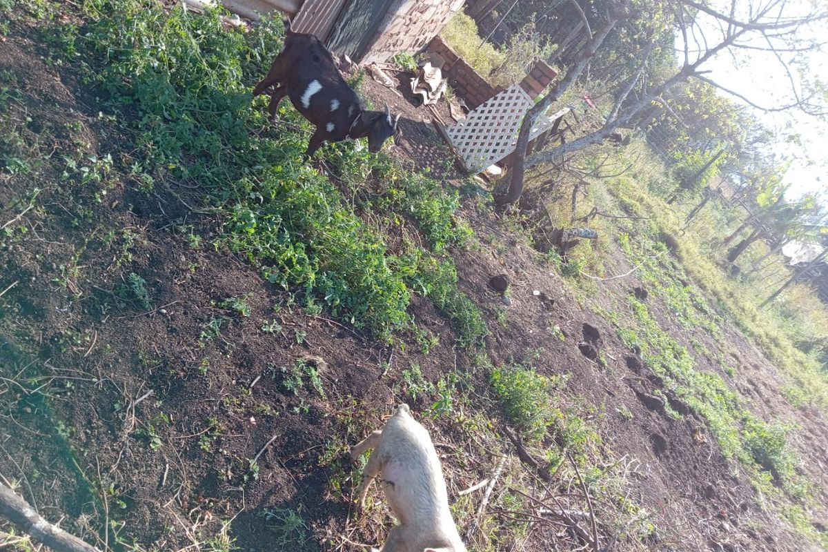 0 Bed Farm in Empangeni Central for Sale - Photo 2