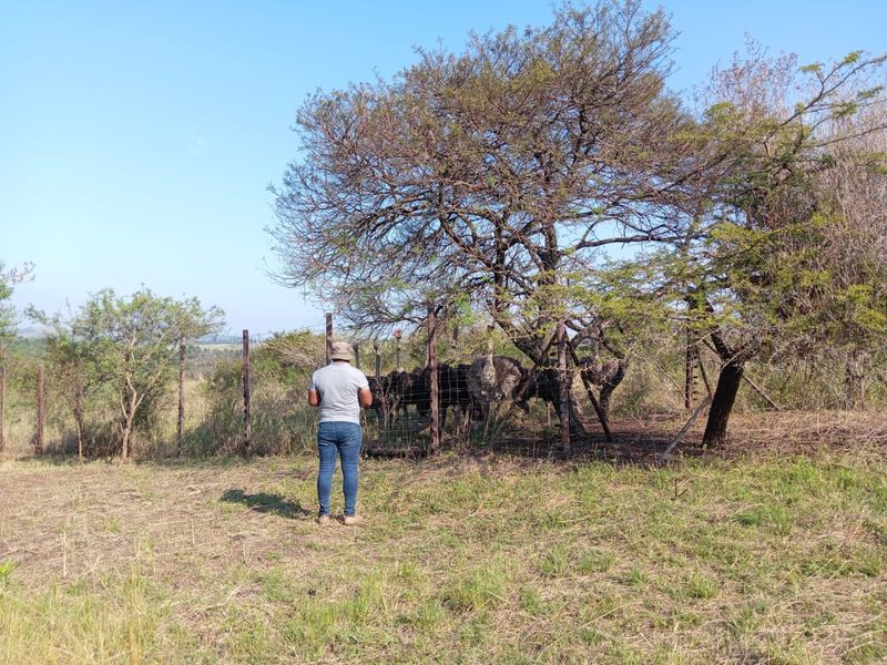 0 Bed Farm in Empangeni Central for Sale - Photo 8
