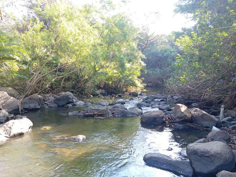 0 Bed Farm in Empangeni Central for Sale - Photo 7