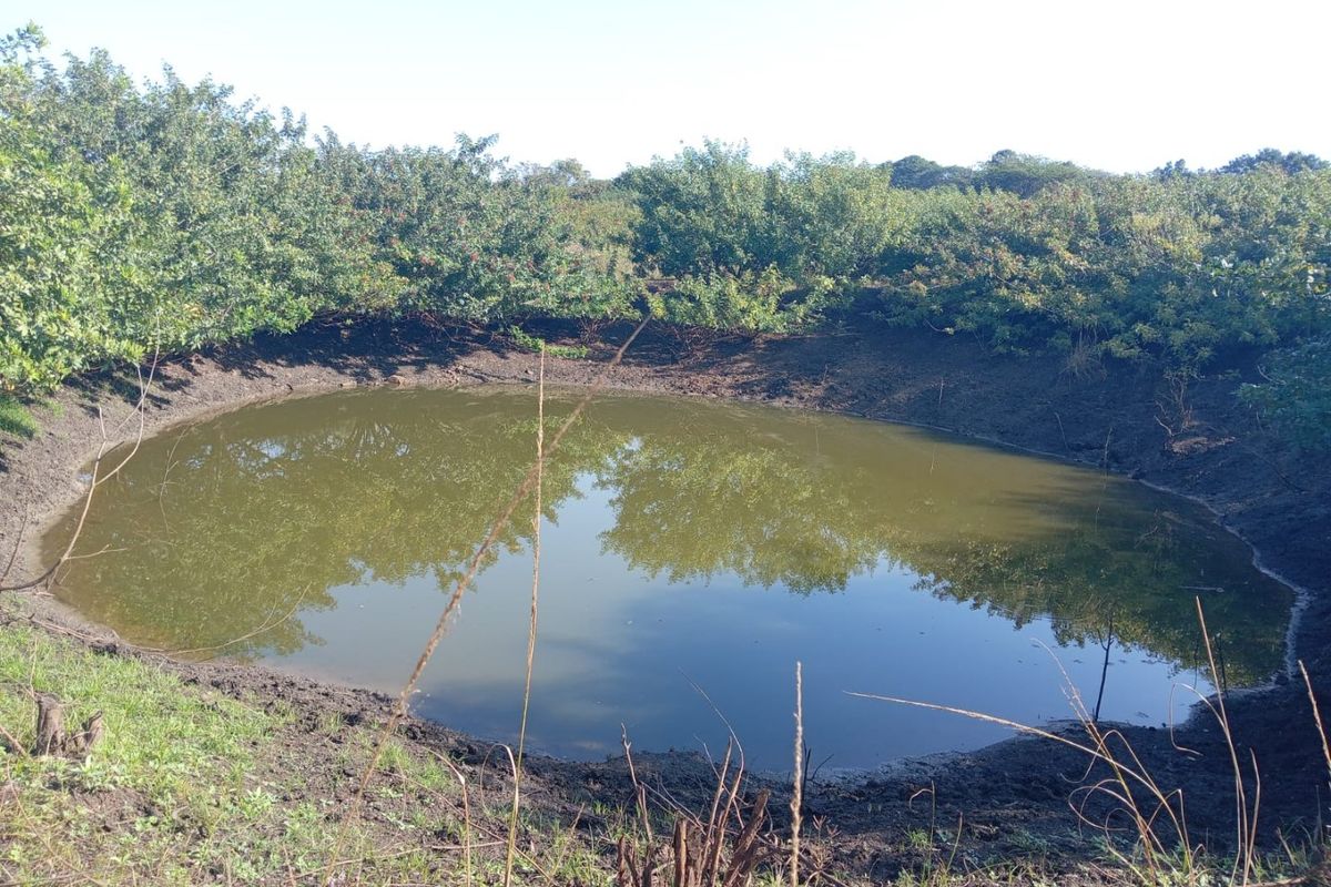 0 Bed Farm in Empangeni Central for Sale - Photo 4