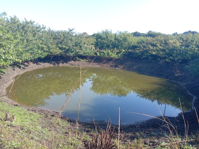 0 Bed Farm in Empangeni Central for Sale - Photo 4